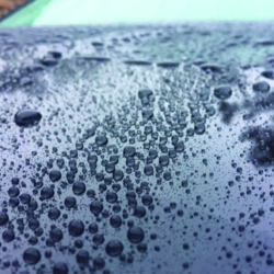 paint surface protection